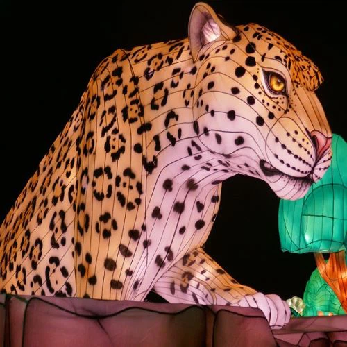 Φτηνές προσαρμοσμένες κινεζικές υπαίθριες ζωές διακοσμητικά φαντεζί μετάξι