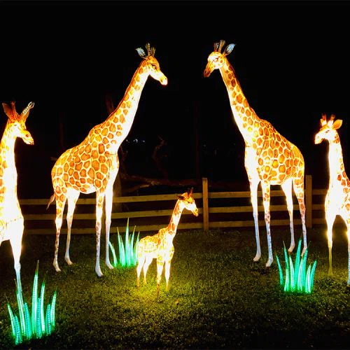 Thme Πάρκο Ζωντανή Καμηλοπάρδαλη Διακόσμηση Μετάξι Φανάρι
